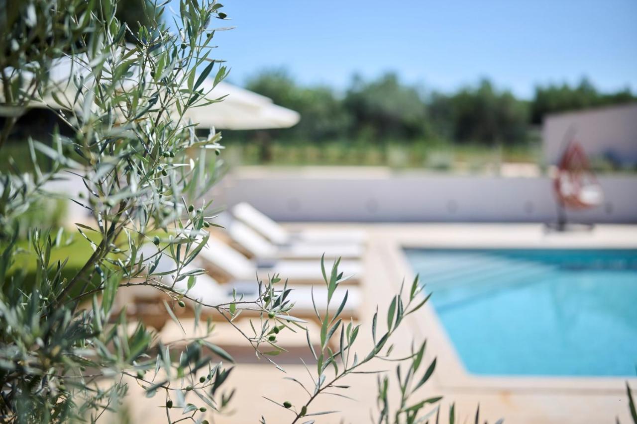 Villa Pura Vida With Pool And Whirlpool Near Umag Materada Luaran gambar